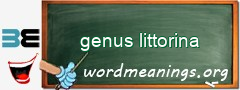 WordMeaning blackboard for genus littorina